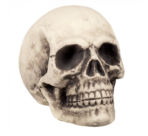 Schedel skelet Halloween decoratie