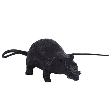 zwarte rat