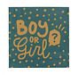 Papieren Gender reveal servetten