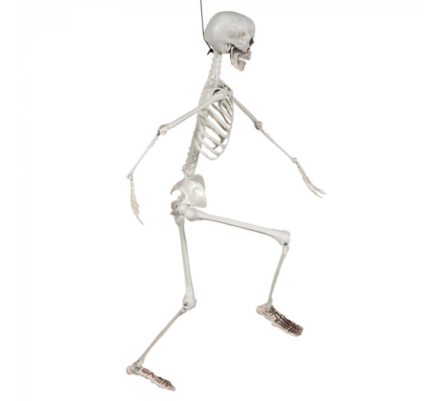 Hangdecoratie  menselijk skelet pop (90 cm)