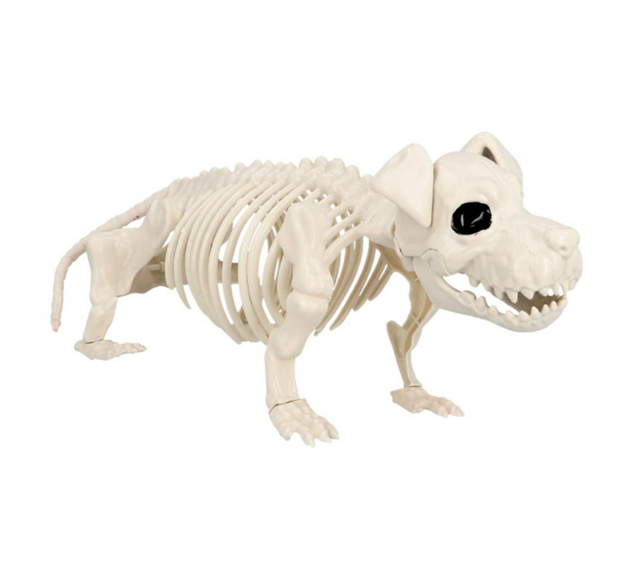 Halloween Honden skelet