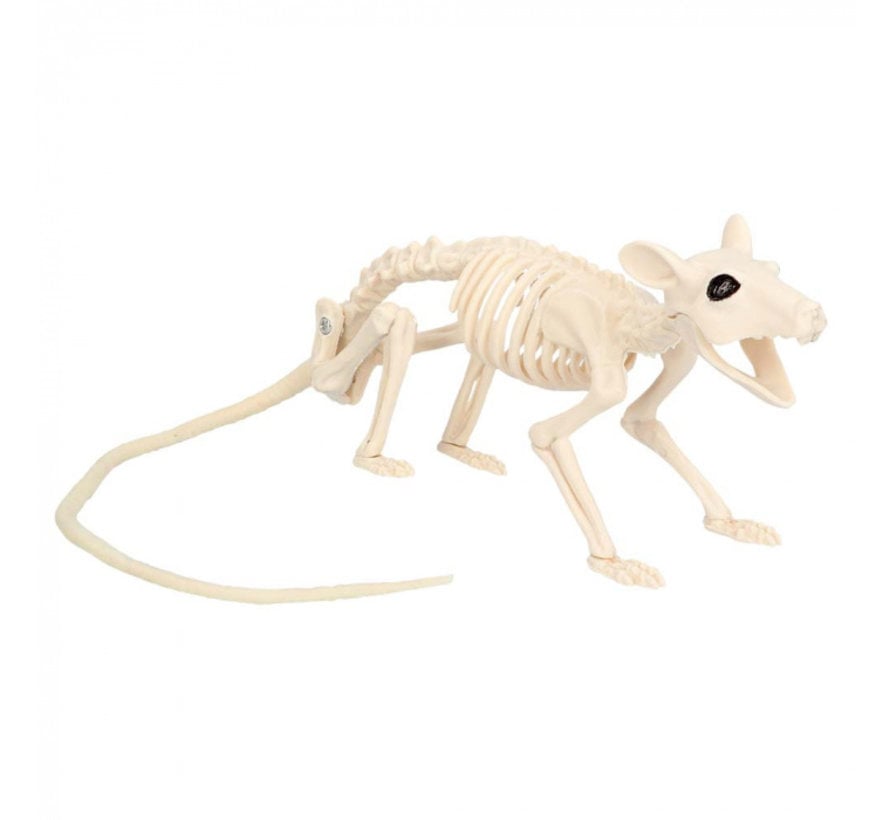 Halloween Rat skelet kopen