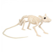 Rat skelet