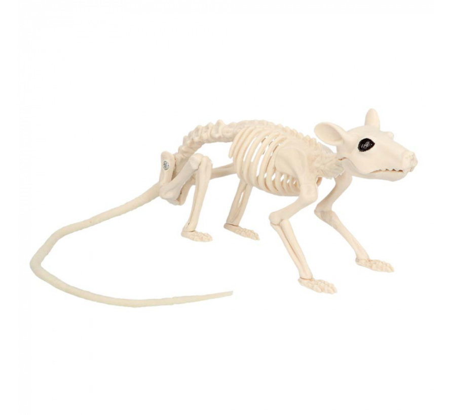 Halloween Rat skelet kopen