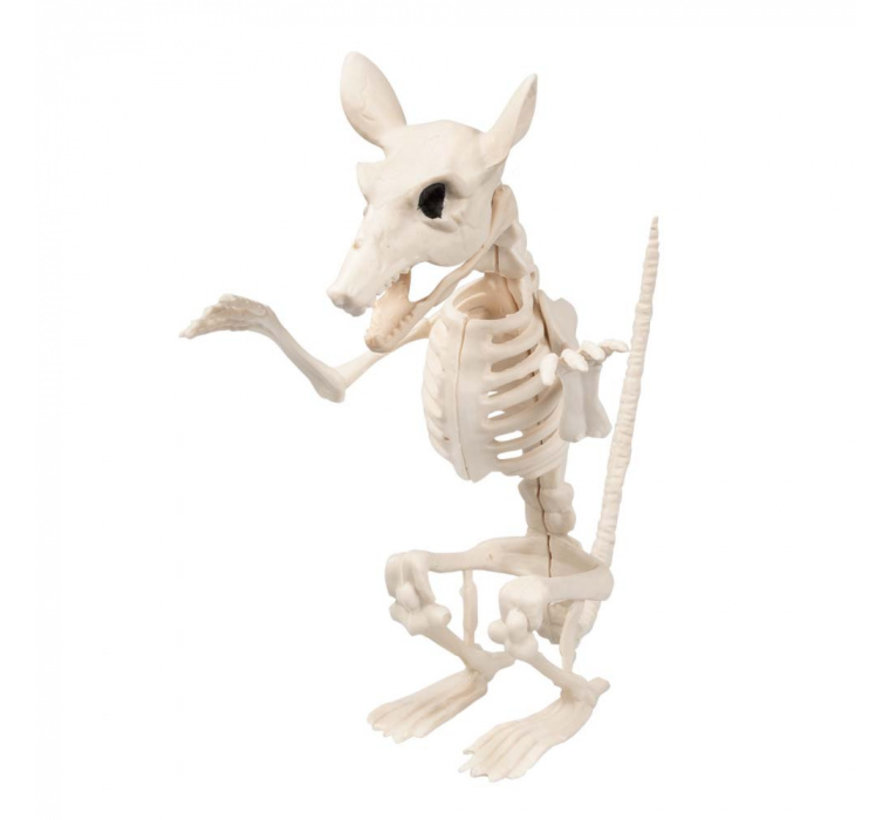 Halloween Rattenskelet (18cm)