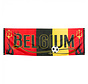 Polyester banner Belgium