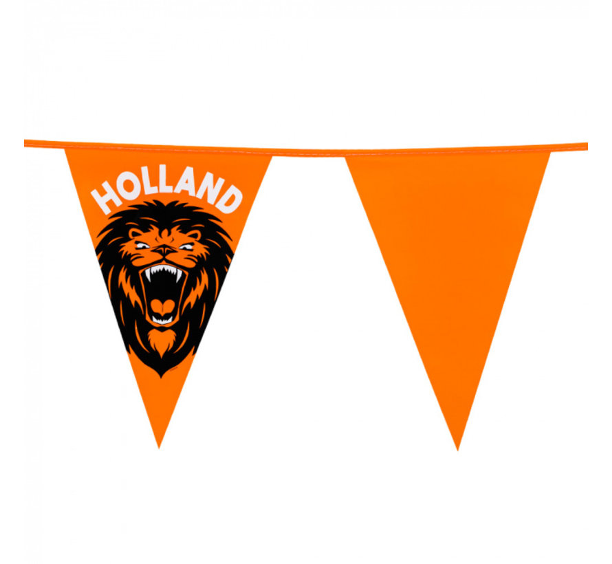 Reuzenvlaggenlijn Leeuw Holland