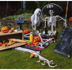 Halloween Dieren Skeletten