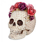 Doodskop Schedel day of the dead