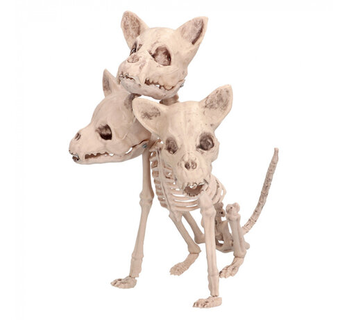 Halloween Skelet Cerberus decoratie