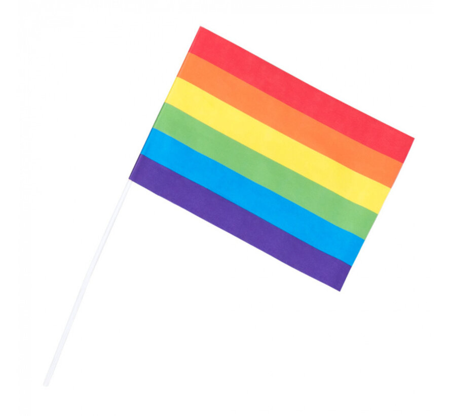 set 6 Papieren Regenboog Vlag LGBTQ+
