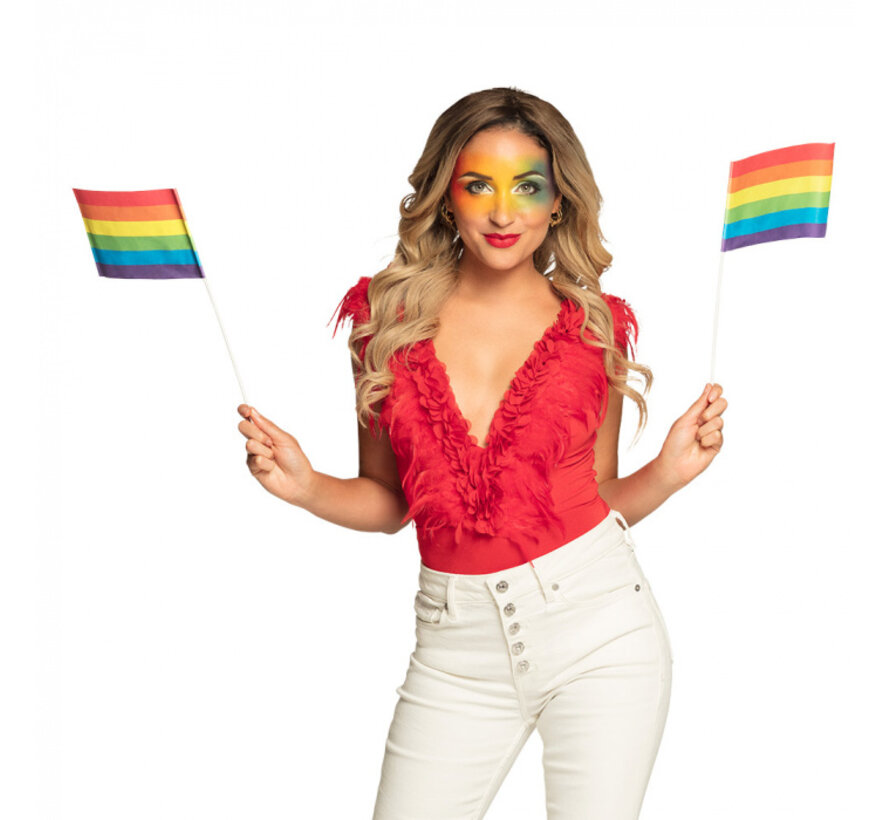 set 6 Papieren Regenboog Vlag LGBTQ+