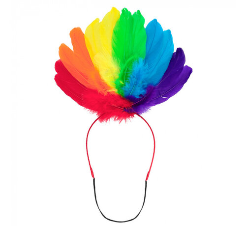 Tiara Pride Regenboog Veren