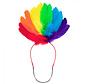 Tiara Pride Regenboog Veren