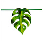 Tropische Monstera blad Slinger