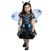 Vlinder kostuum