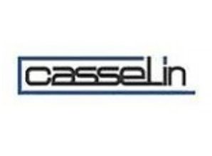 Casselin Handendroger Drive Wit 900w