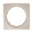 Weltico skimmer lid collar