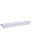 Item: 14) Set Brush - Spring - Nut