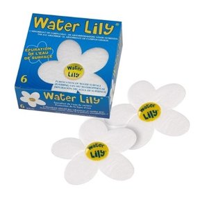 Water Lily 6 pcs