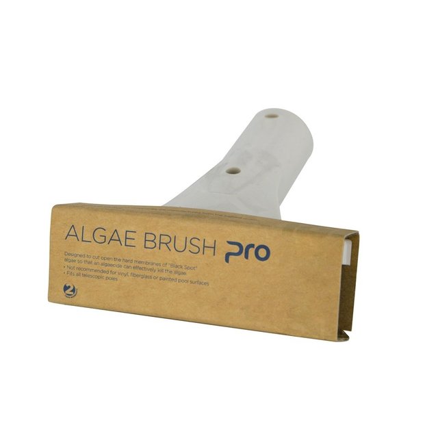 Algae brush