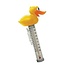 Poolstyle Canard thermomètre
