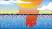 Energyguard summer cover price/m²