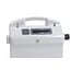 Dolphin Transformer Digital Dynamic Wave 100