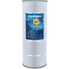 Cartouche de remplacement pour StarClear C1100