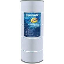 Cartouche de remplacement pour SwimClear C3030