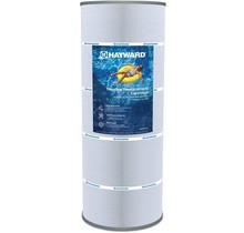 Cartouche de remplacement pour SwimClear C4030