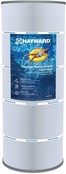 Cartouche de remplacement pour SwimClear C5030