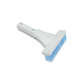Algae brush