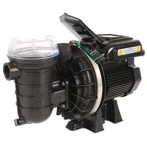 Intelliflo SW5P6R-VSD2