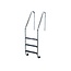 Flexinox Standaard ladder AISI 304 antislip 2 treden