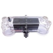 Cellules Ecosalt BMSC/MES en forme de U