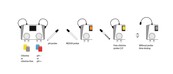 Système de surveillance du pH/chlore libre Watersens Net - WiFi avec sondes incluses