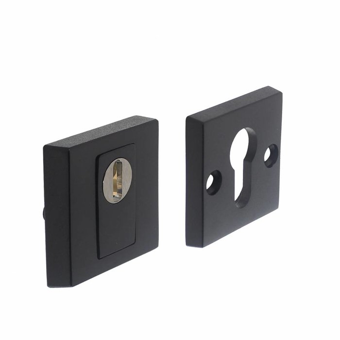 Intersteel SKG3 Rosace de sécurité carrée pleine avec protection contre l'arrachement du noyau et boulons apparents acier inoxydable/noir mat