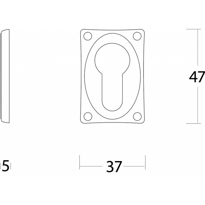 Intersteel Paar profielcilindergat plaatjes vierkant verlengd nikkel -Intersteel