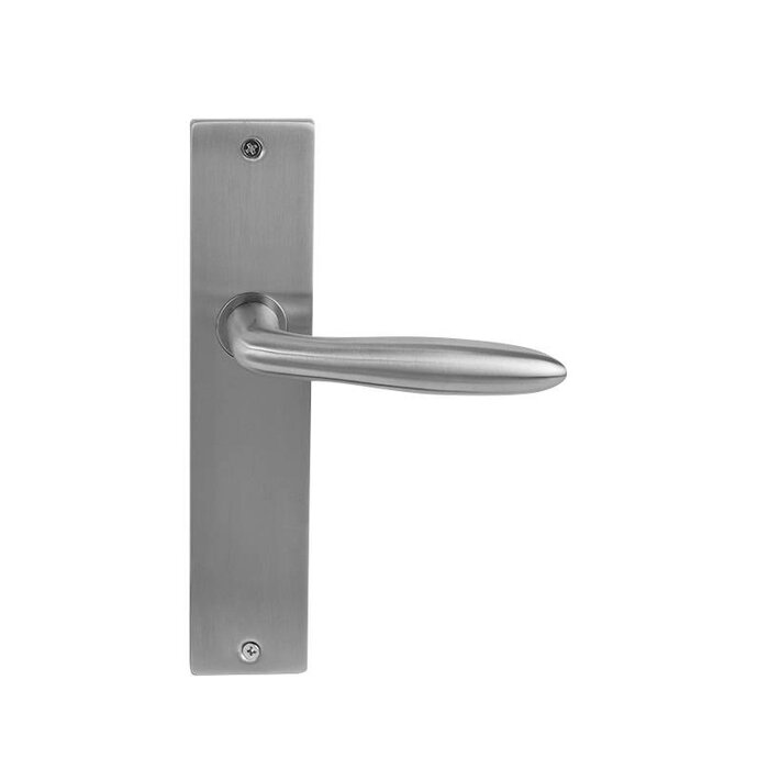 In-Door Massieve inox deurkruk Riga op langschild