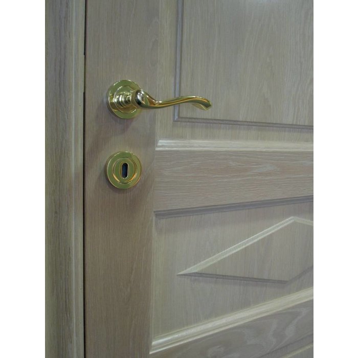 HDD Titanium door handles Erica