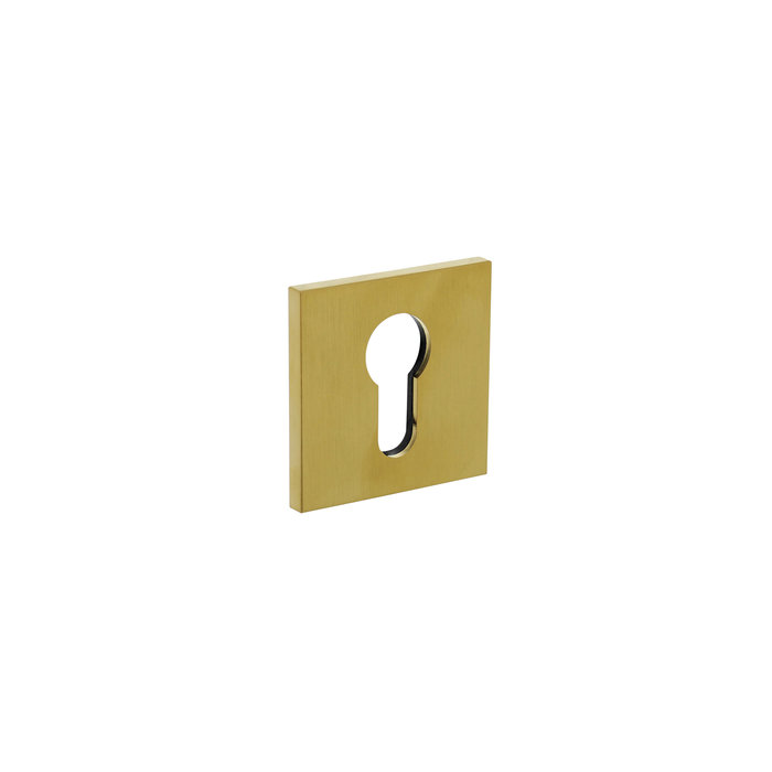 Olivari 1 Olivari rosette square with profile cylinder hole matt titanium PVD