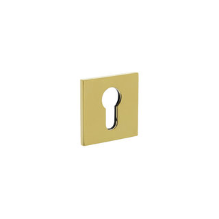 Olivari 1 Olivari rosette square with profile cylinder hole brass titanium PVD
