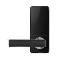 Modern smart door handle D11B with finger scan