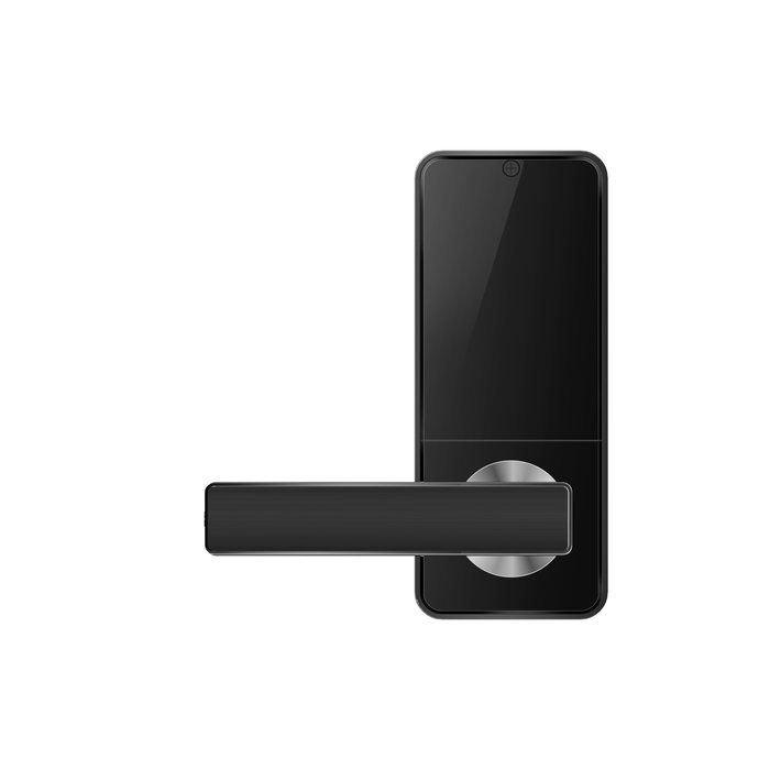 Poignée de porte intelligente D11A noire sans lecteur d'empreintes digitales