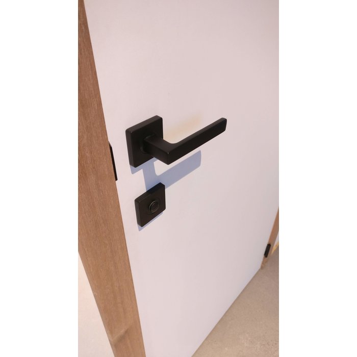 Intersteel Poignées de porte Hera sur rosace carrée noir mat sans plaquettes de clés