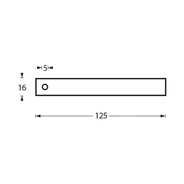 Intersteel Intersteel WC roll holder only with pin stop brushed stainless steel
