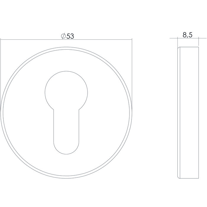 Intersteel Pair of profile cylinder plate brushed stainless steel concealed Ø52X19 stainless steel