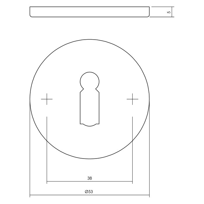 Intersteel Pair of Intersteel key plates round flat concealed 53x5mm - brushed stainless steel
