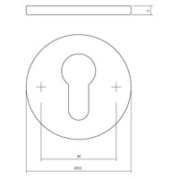1 PC-plaatje rond plat verdekt 53x5mm met profielcilindergat rvs geborsteld